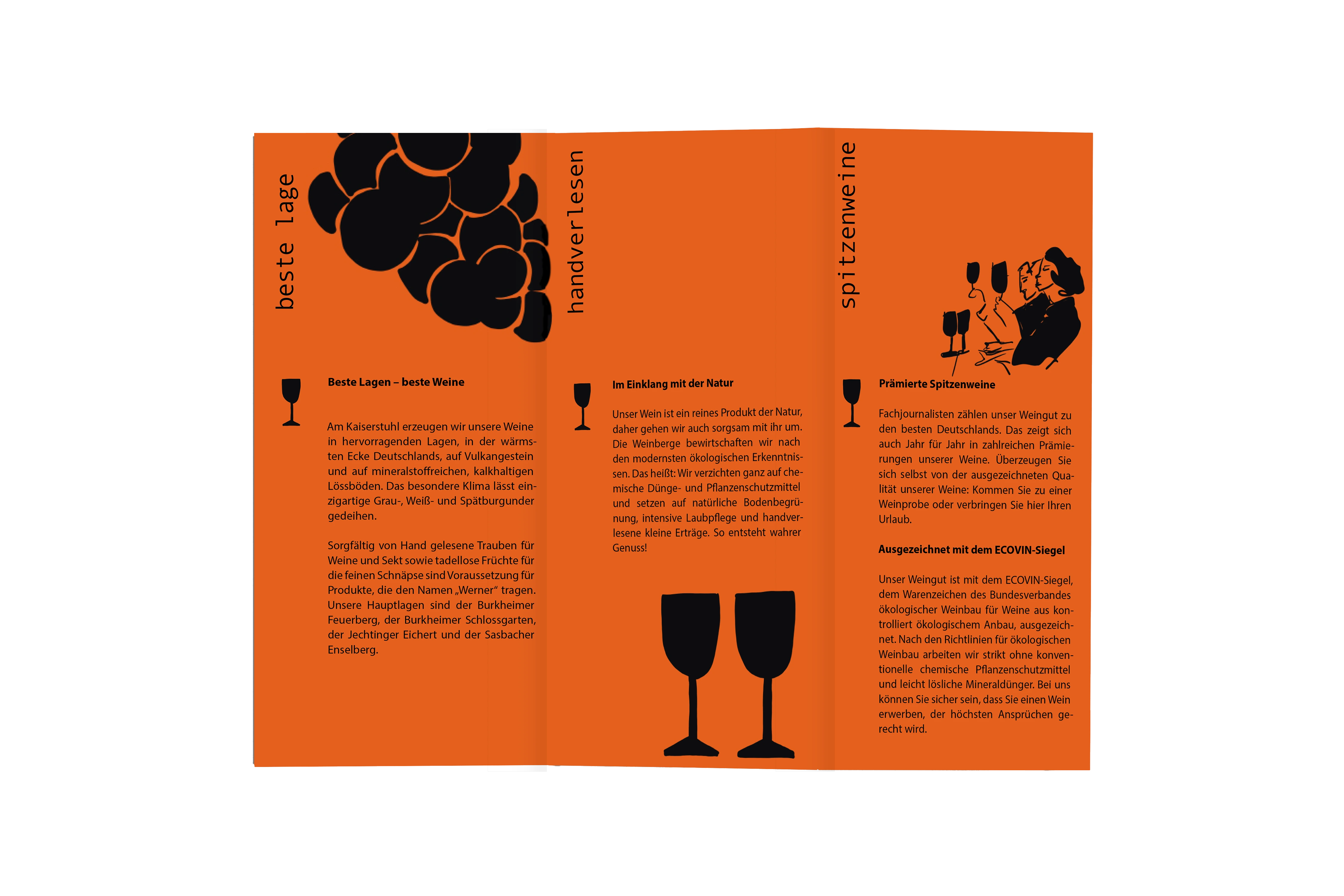 Weingut Werner Flyer Rückseite von Sonja Hörst